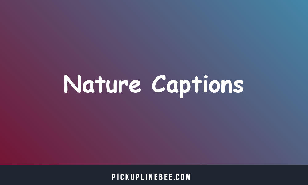 Nature Captions For Instagram & Quotes