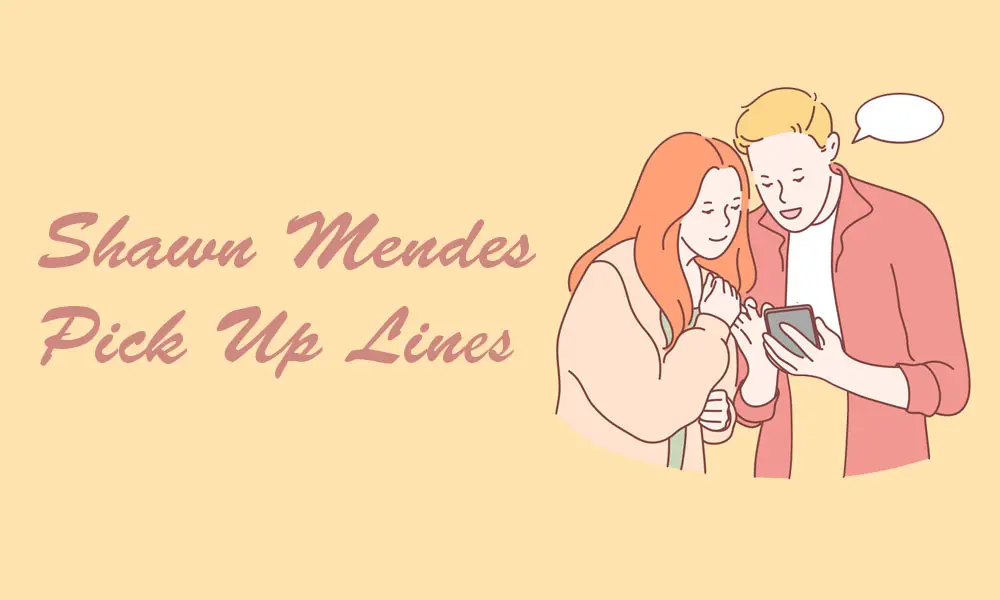 Shawn Mendes Pick Up Lines
